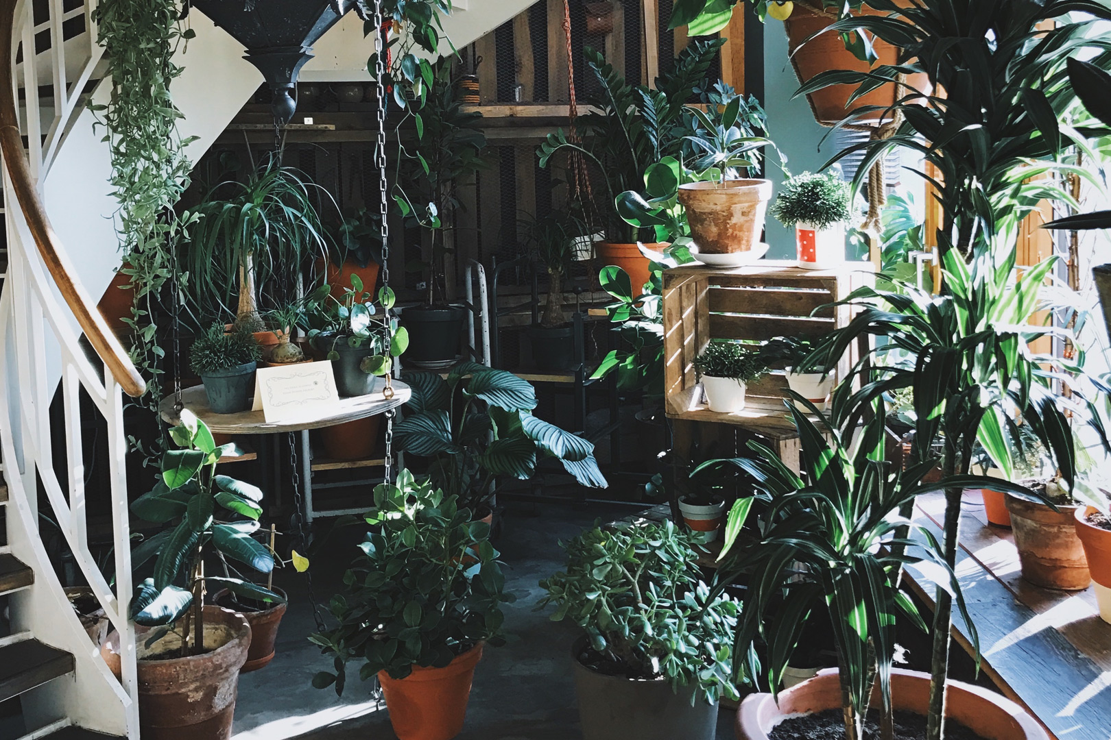 Fall’s Must-Have Coats